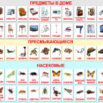 domain cards 1