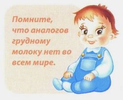 nav piena analogu pasaulē