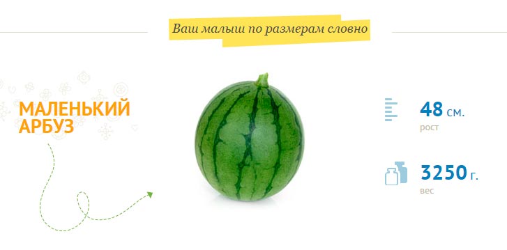 39 tamanho fetal