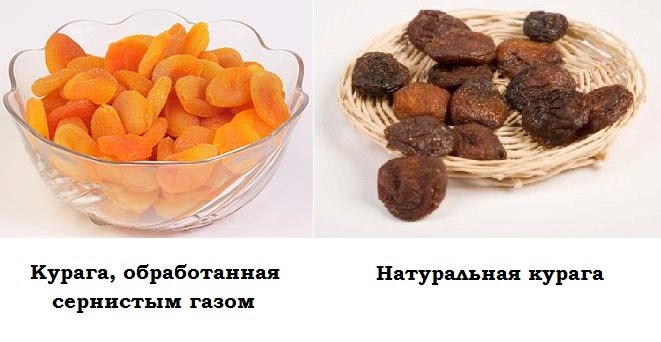 albercocs secs
