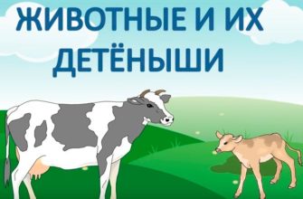 Kaip sakoma, gyvūnai