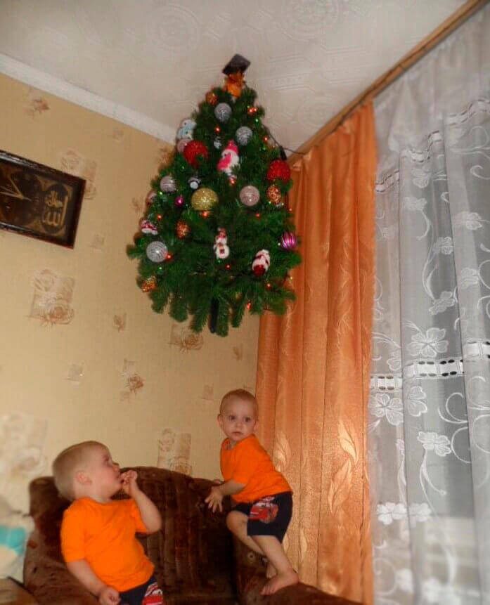 medis ant lubų
