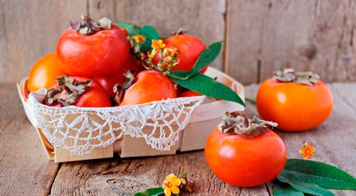 persimmon